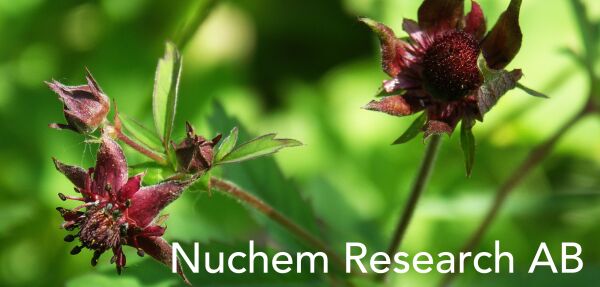 Nuchem Research